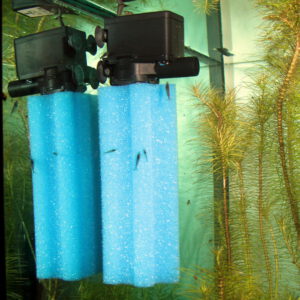 JBL ProFlow u800 Universalpumpe zur Wasserförderung bis 900 l/h – Bild 3