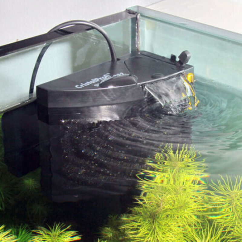JBL CristalProfi m greenline Aquarium Innenfilter + Mini Thermometer – Bild 3