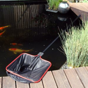 JBL Teichkescher M fein 50x43 cm Feinmaschiges Fang Netz 160 cm Teleskopstiel