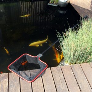 JBL Teichkescher M grob 50x43 Grobmaschiges Fang Netz mit 160 cm Teleskopstiel