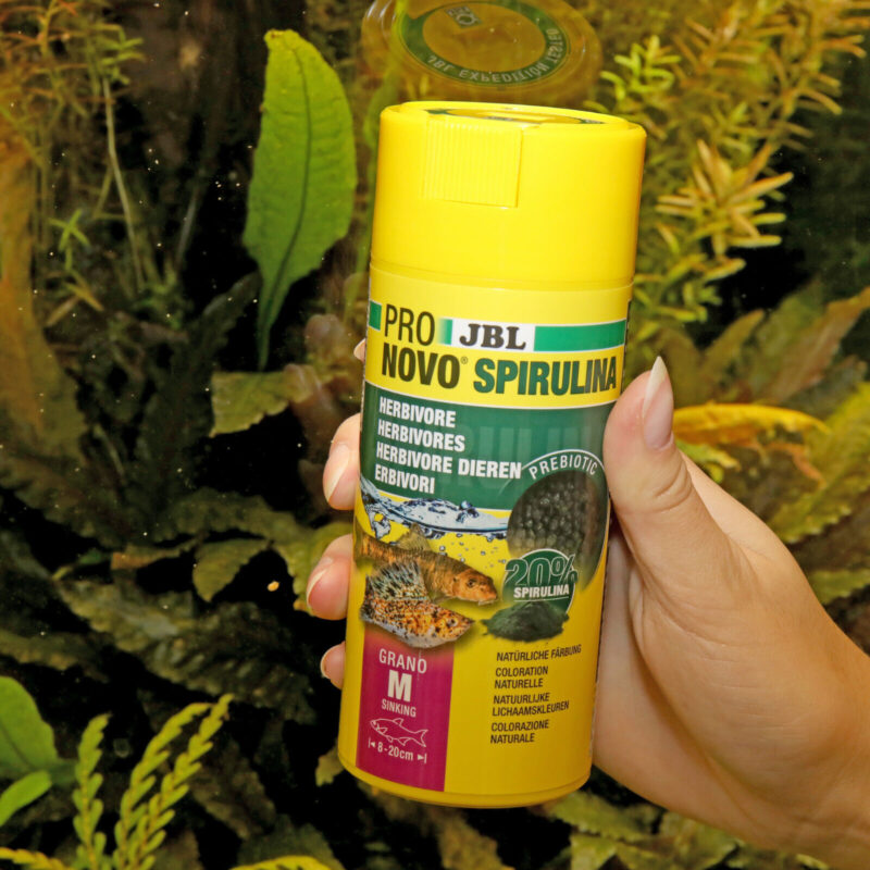 JBL PRONOVO SPIRULINA GRANO M 250 ml Click Spirulina-Grünfuttergranulat – Bild 3