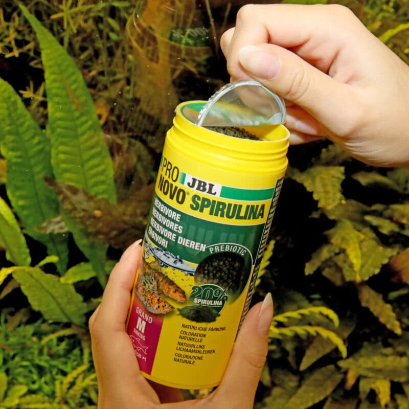 JBL PRONOVO SPIRULINA GRANO M 250 ml Click Spirulina-Grünfuttergranulat – Bild 2