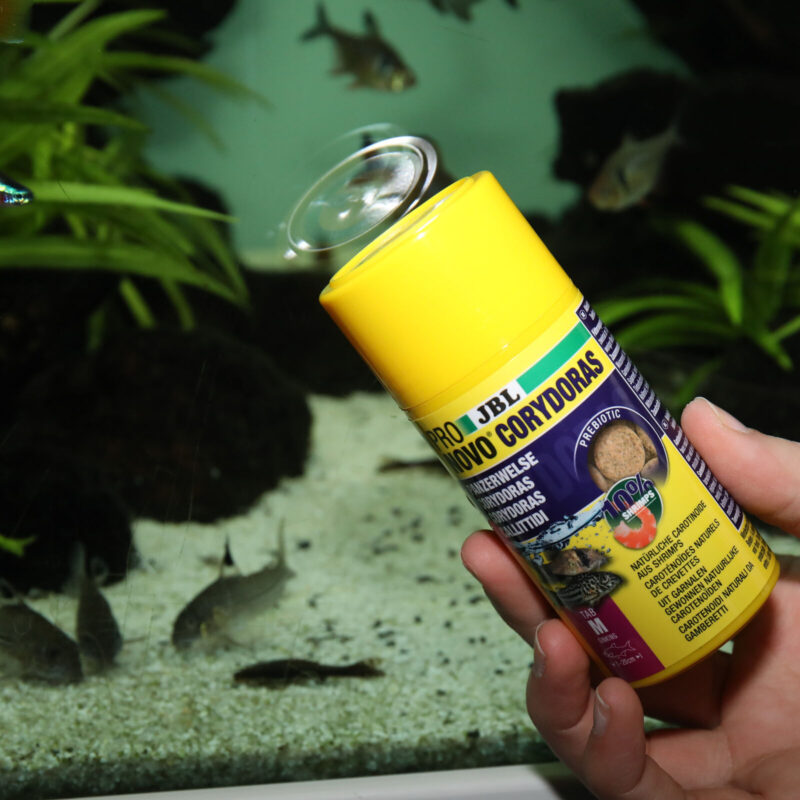 JBL PRONOVO CORYDORAS TAB M 250 ml Futtertabletten für Panzerwelse – Bild 4